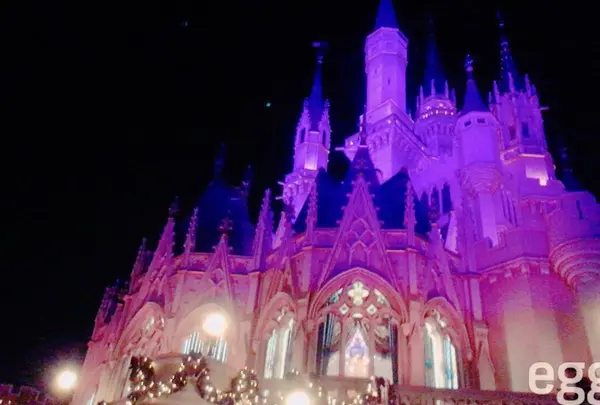 東京ディズニーランドの写真・動画_image_323765