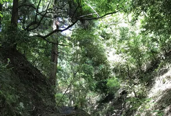 五月山公園の写真・動画_image_323844