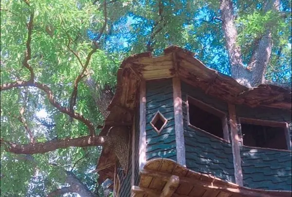 岩瀬牧場の写真・動画_image_324086