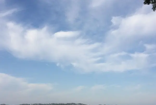 江の島の写真・動画_image_324245
