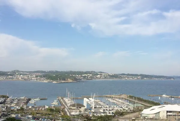 江の島の写真・動画_image_324246