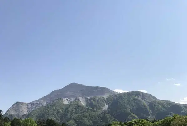 羊山公園の写真・動画_image_324348