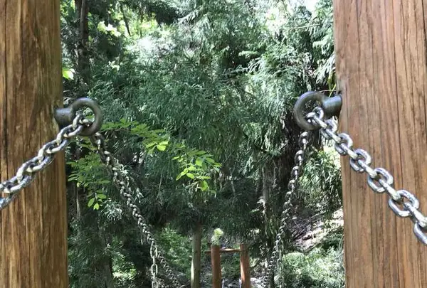 五月山公園の写真・動画_image_324427