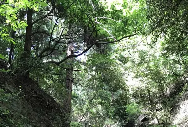 五月山公園の写真・動画_image_324428