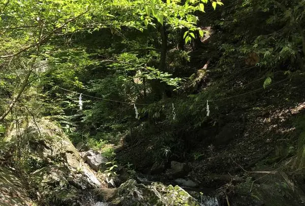 多度大社（北伊勢大神宮）の写真・動画_image_324434
