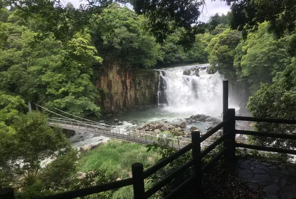 関之尾滝の写真・動画_image_324471