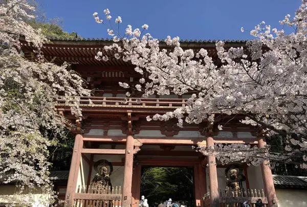 醍醐寺の写真・動画_image_324487