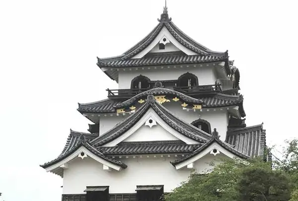 彦根市の写真・動画_image_324505