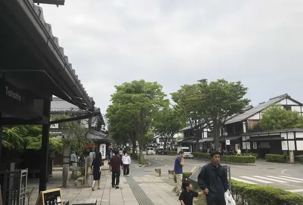 彦根市の写真・動画_image_324506