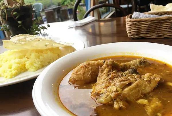 スパイスドッグ （Spicedog） の写真・動画_image_324591