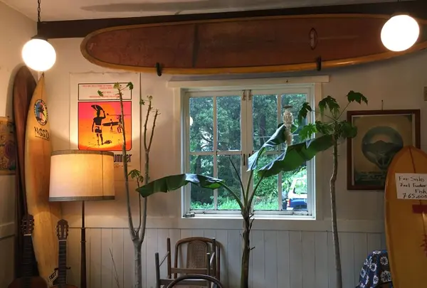 スパイスドッグ （Spicedog） の写真・動画_image_324594