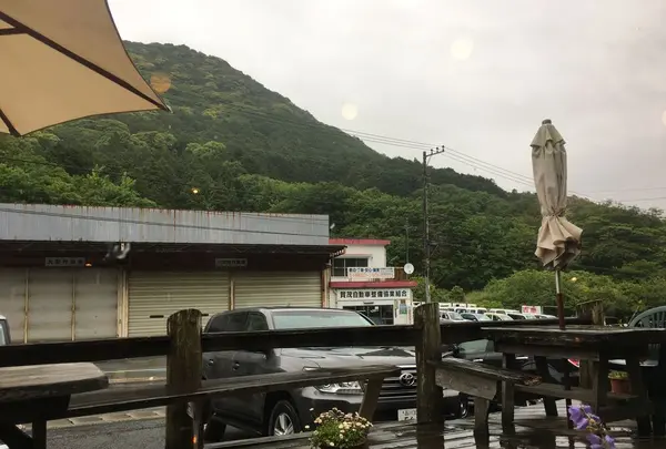 スパイスドッグ （Spicedog） の写真・動画_image_324596