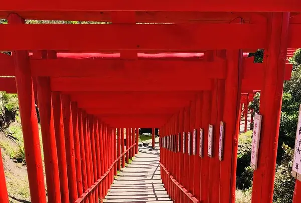 元乃隅神社の写真・動画_image_324834