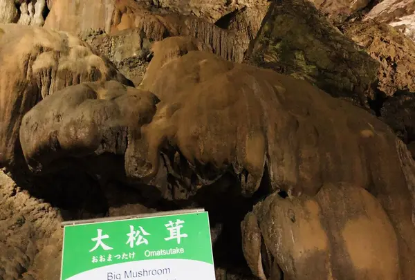 秋芳洞の写真・動画_image_324851