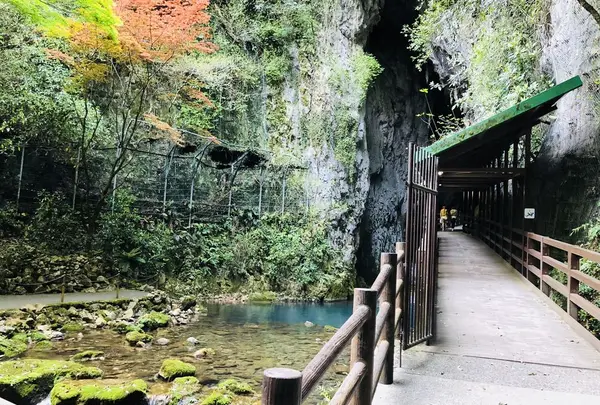 秋芳洞の写真・動画_image_324858