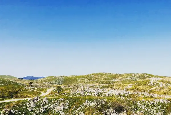 秋吉台の写真・動画_image_324885