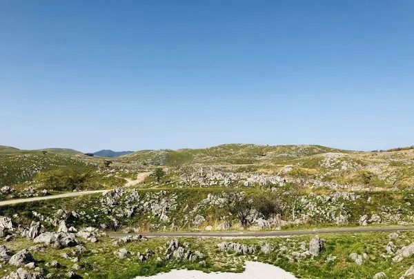 秋吉台の写真・動画_image_324887