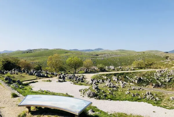 秋吉台の写真・動画_image_324889