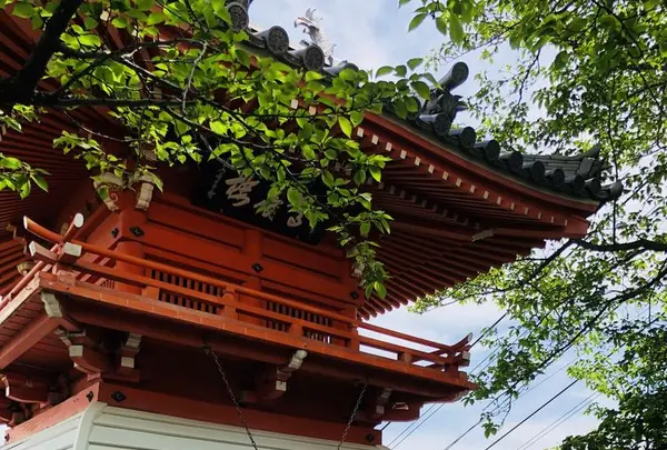 千光寺の写真・動画_image_324903