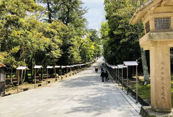 出雲大社の写真・動画_image_324953