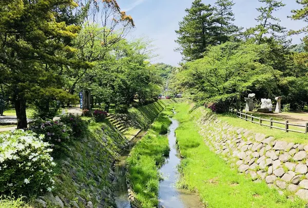 出雲大社の写真・動画_image_324954