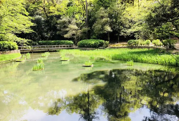 出雲大社の写真・動画_image_324955