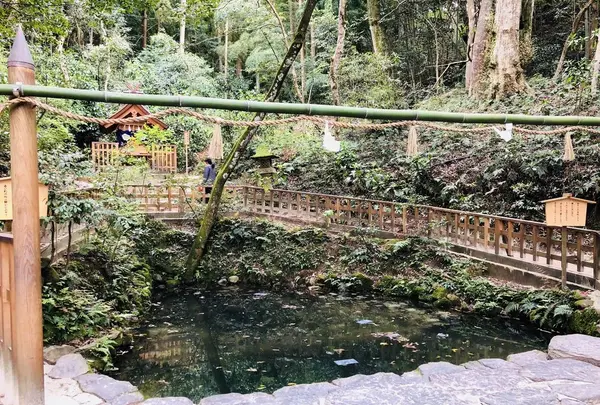 八重垣神社の写真・動画_image_324979