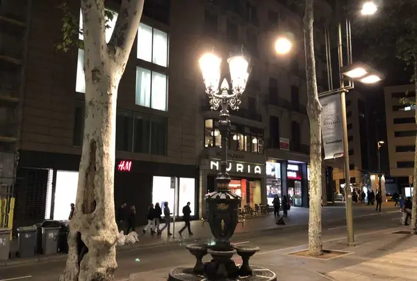 Font de Canaletesの写真・動画_image_325098