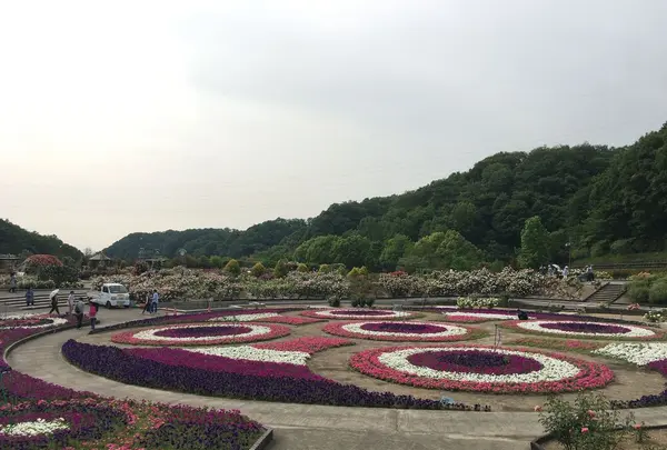 花フェスタ記念公園の写真・動画_image_325156