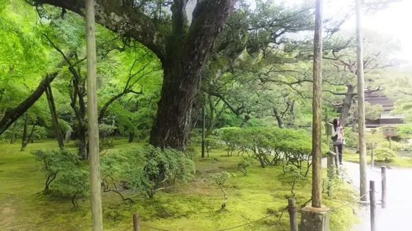 銀閣寺(東山慈照寺)の写真・動画_image_325376