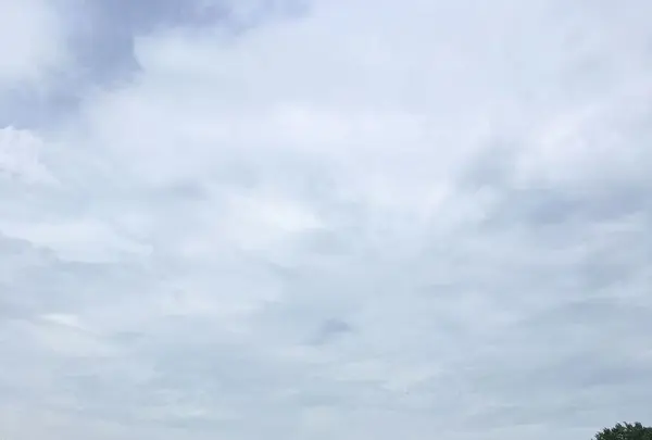 江戸東京たてもの園の写真・動画_image_325577