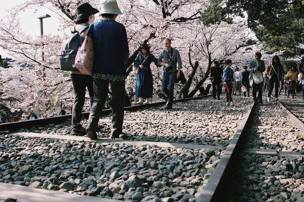 蹴上インクラインの写真・動画_image_325617