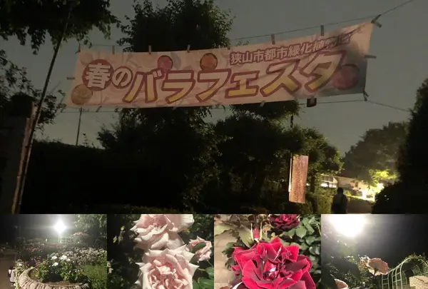 都市緑化植物園の写真・動画_image_325815