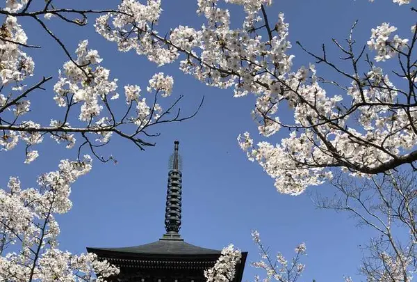 能登大仏の写真・動画_image_325886