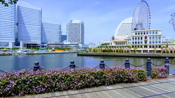 山下公園の写真・動画_image_326010