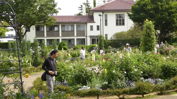 山下公園の写真・動画_image_326012