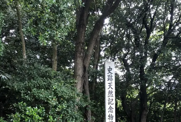 屋島神社の写真・動画_image_326029