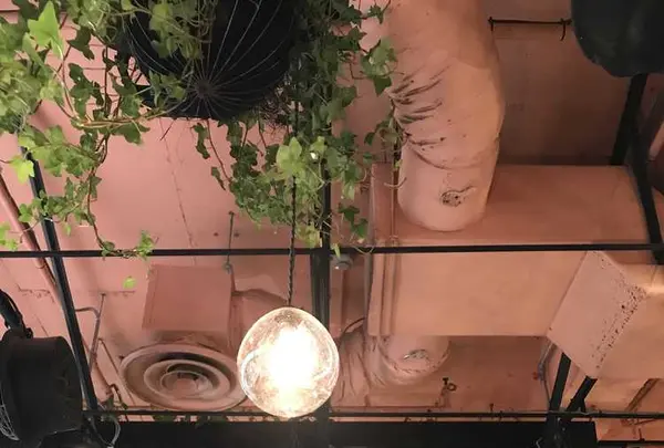 青山フラワーマーケット ティーハウス 南青山本店 （Aoyama Flower Market TEA HOUSE）の写真・動画_image_326144