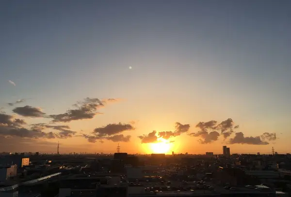 デニーズ 市川鬼高店の写真・動画_image_326200