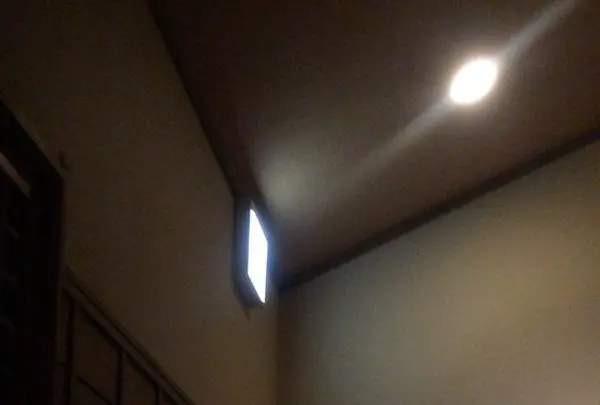 ちゅう心の写真・動画_image_326221