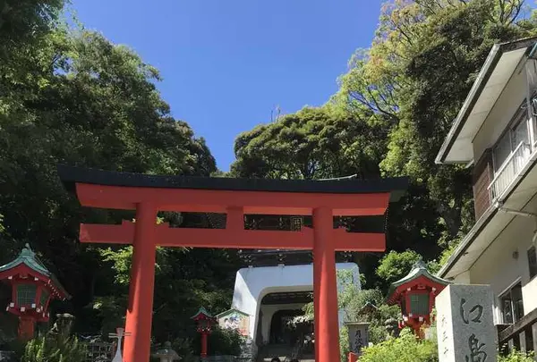 瑞心門の写真・動画_image_326338