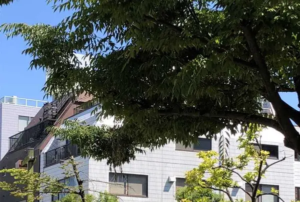 わんぱく天国（押上公園）の写真・動画_image_326460