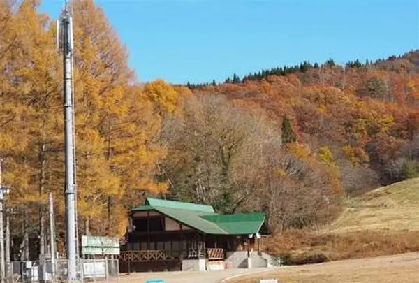 飛騨荘川 一色の森キャンプ場の写真・動画_image_326628