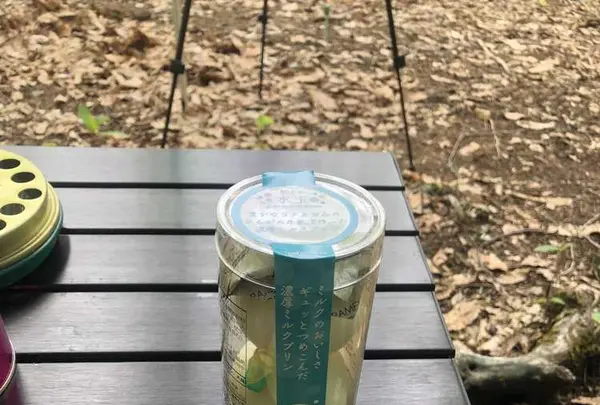 飛騨荘川 一色の森キャンプ場の写真・動画_image_326630