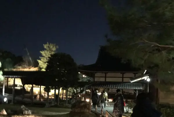 高台寺の写真・動画_image_326692