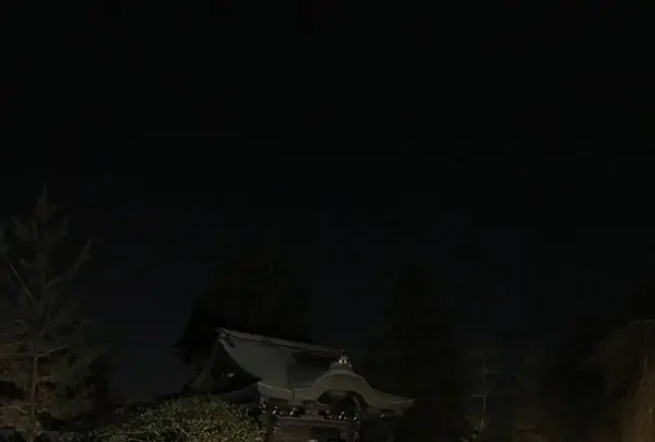 高台寺の写真・動画_image_326693