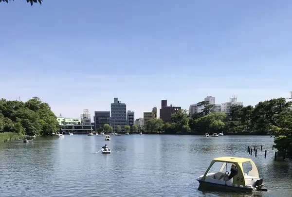 洗足池の写真・動画_image_326817