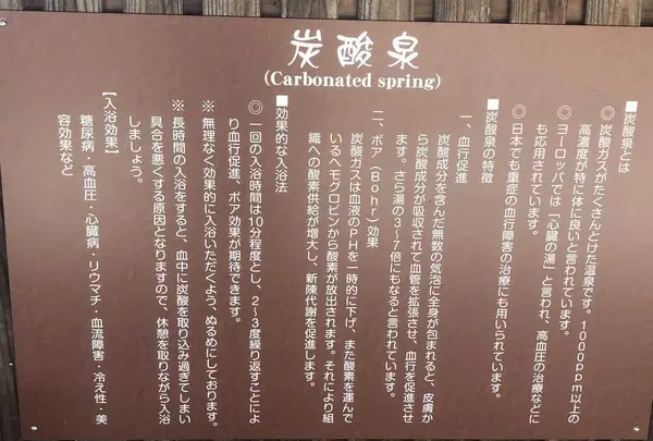 ひだ荘川温泉 桜香の湯の写真・動画_image_326835