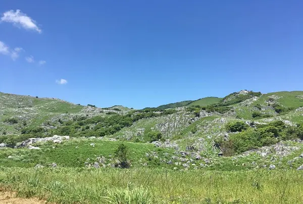 平尾台の写真・動画_image_326920