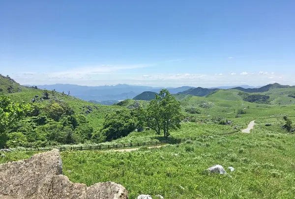 平尾台の写真・動画_image_326923